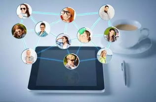 藍盟觀點 企業IT采購成本高？善用上海軟件代理與開發，這一招助您顯著降本增效